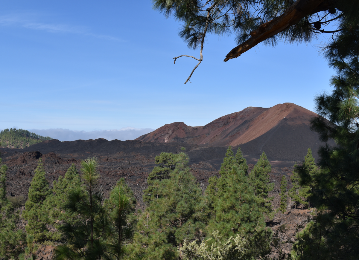 Trekking Isole Canarie Tenerife 1