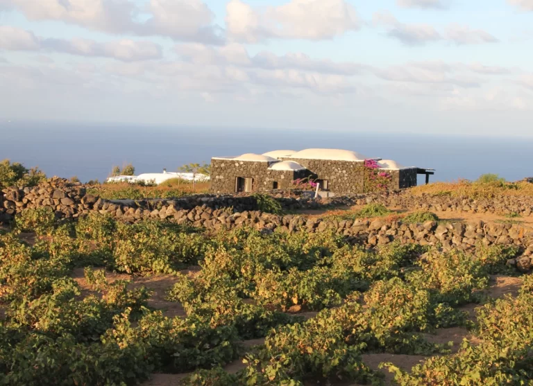 Consigli di viaggio Pantelleria