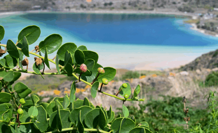 Trekking Capodanno Pantelleria