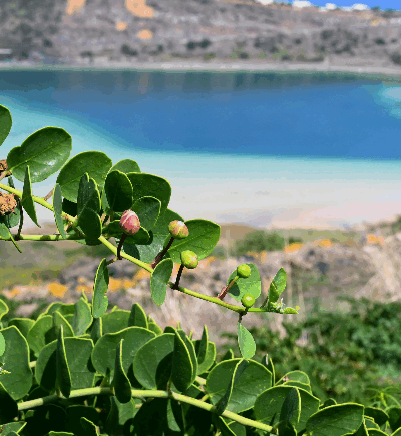 Trekking Capodanno Pantelleria