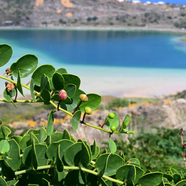 Tour_pantelleria_agenzie_associazioni